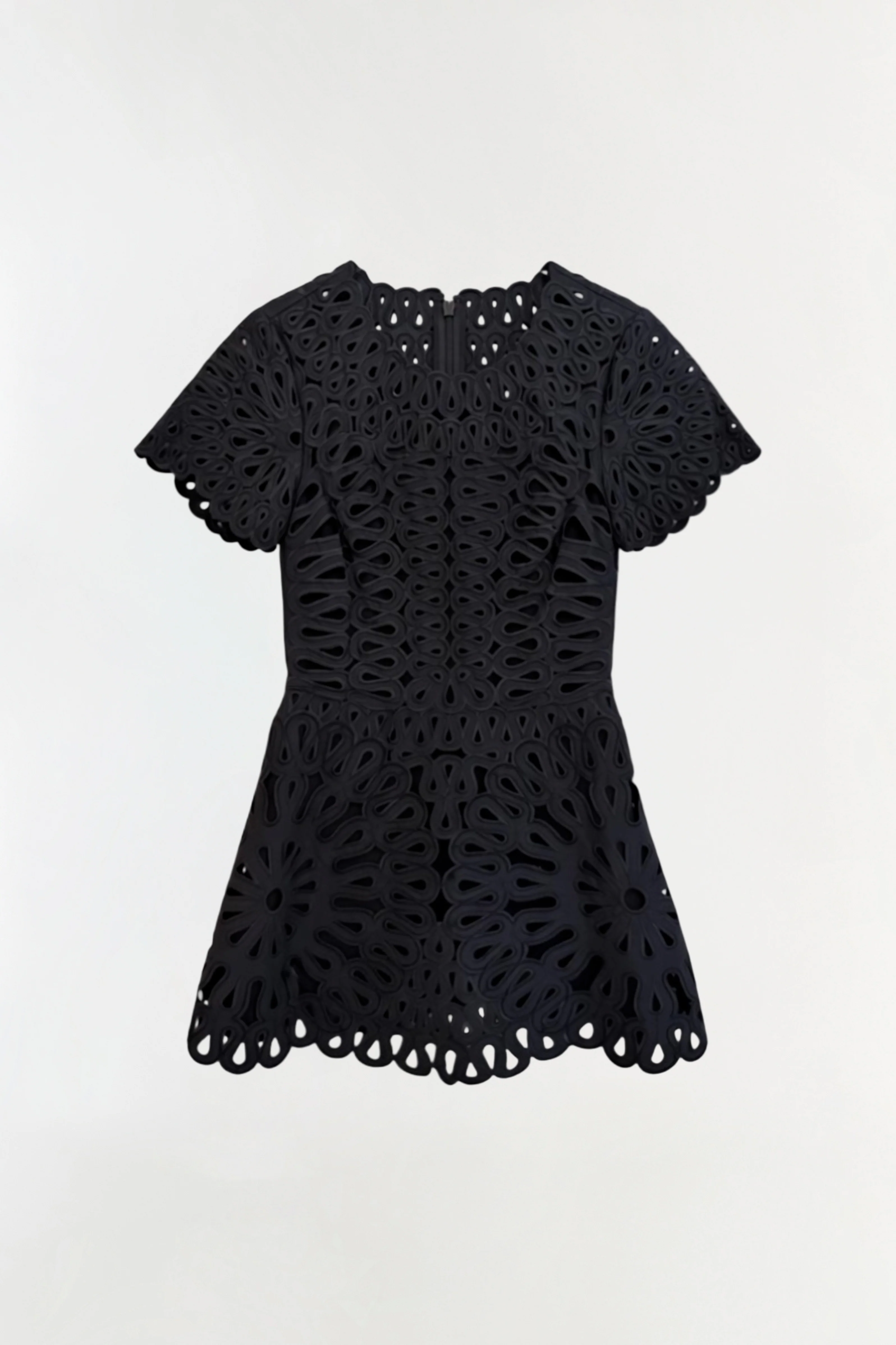 Emrys Embroidered Mini Dress