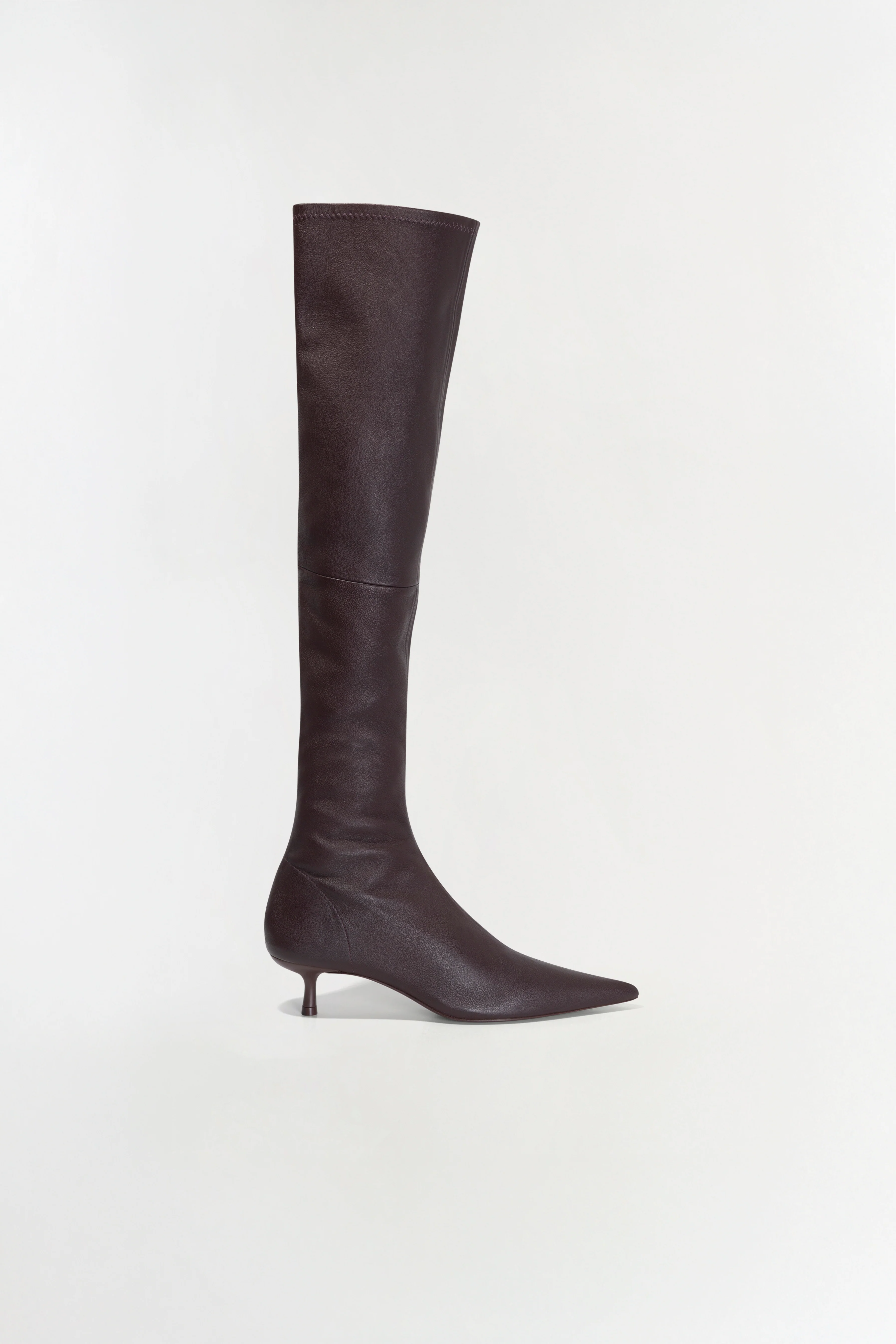 Joni Leather Over-The-Knee Boot