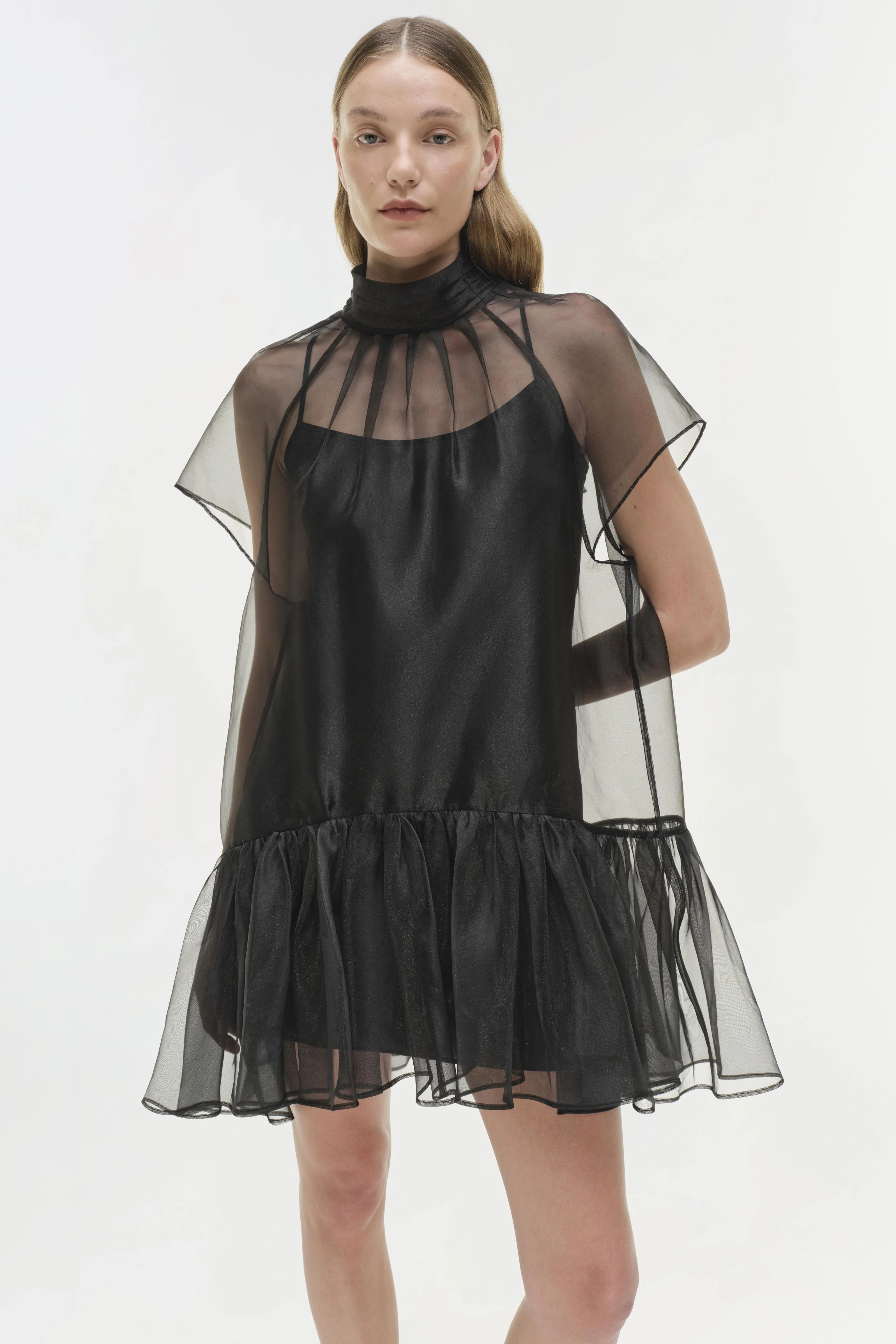 Beaux Organza Dress - Image 4