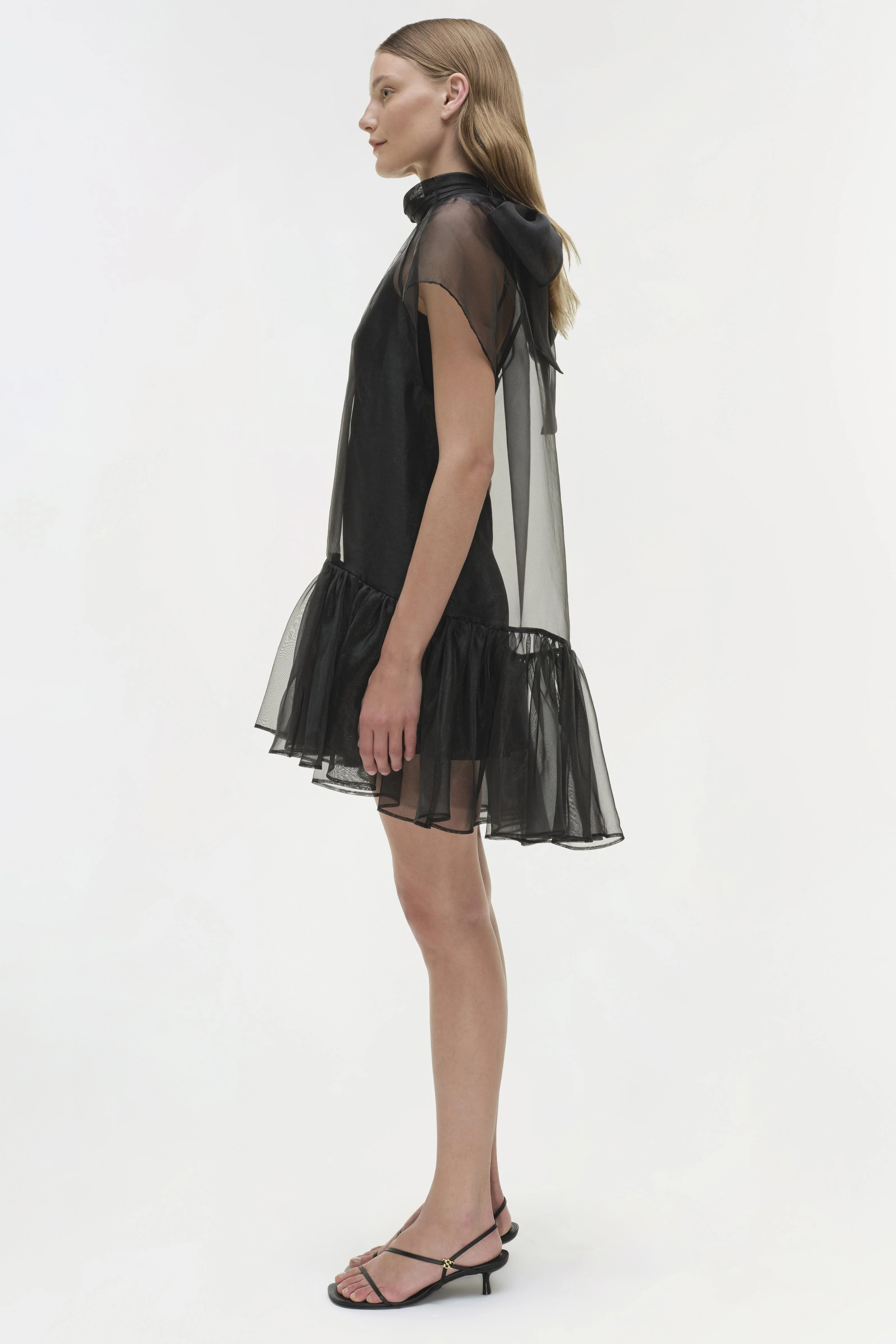 Beaux Organza Dress - Image 5