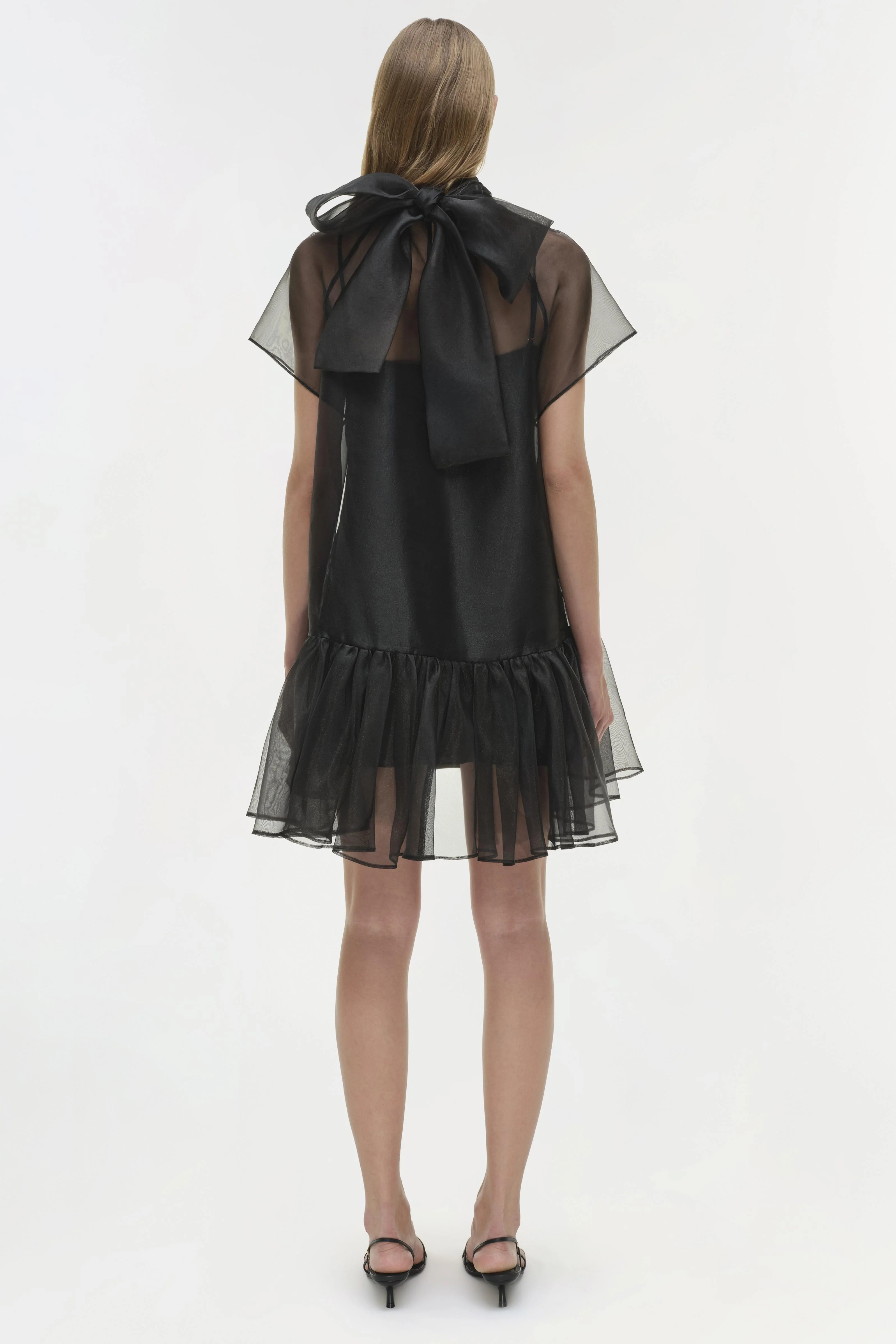 Beaux Organza Dress - Image 6