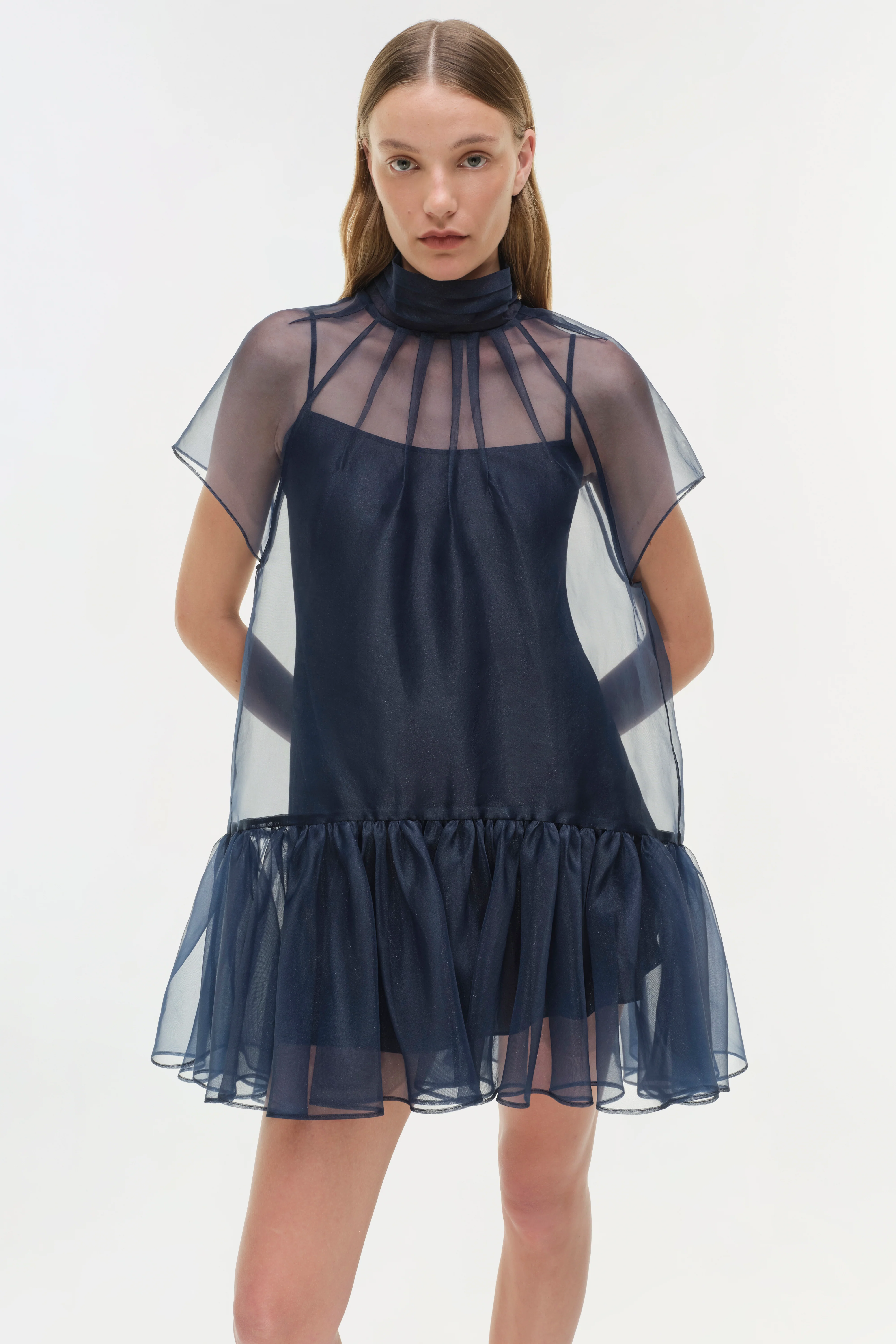 Beaux Organza Dress - Image 3