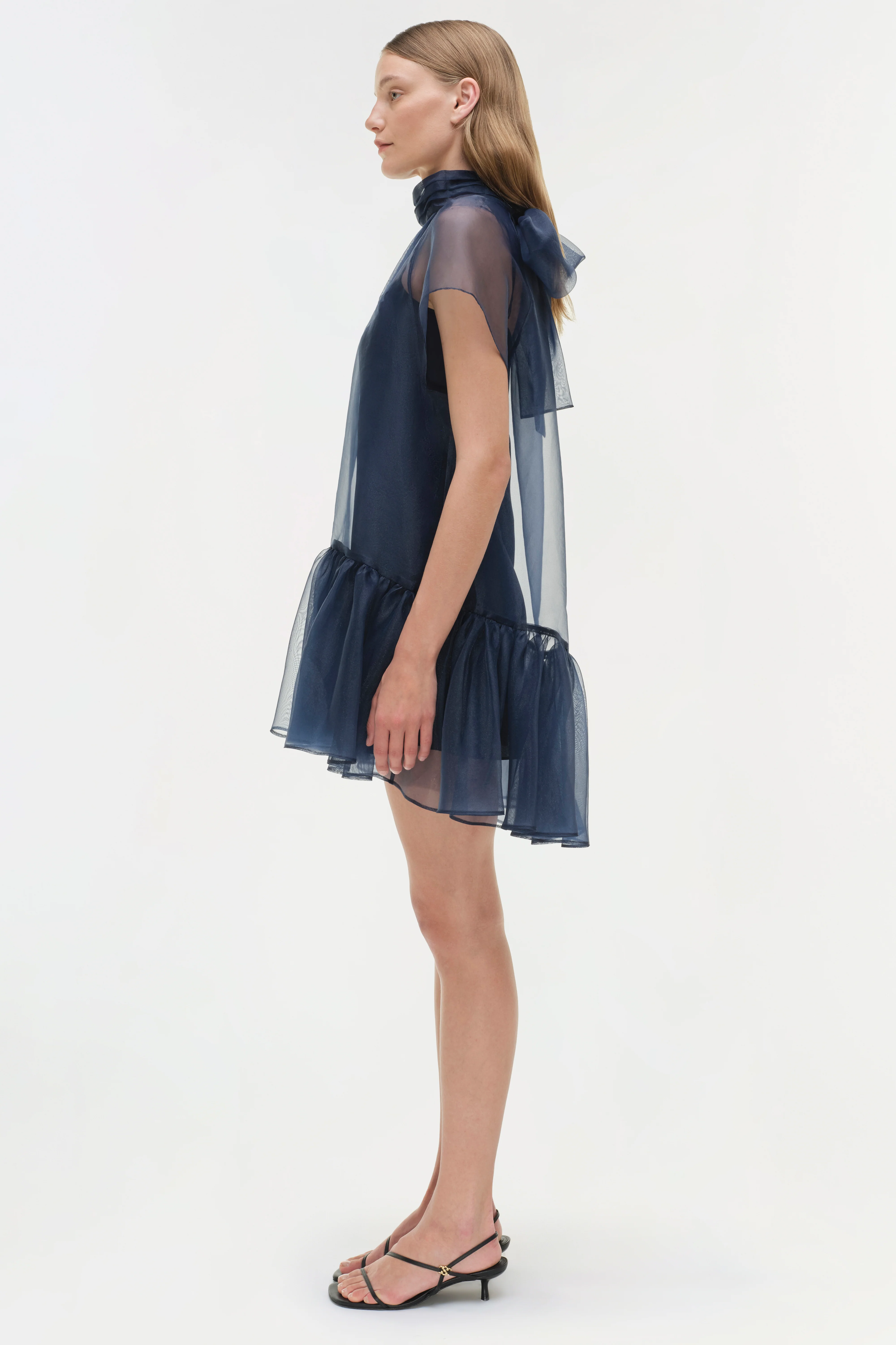 Beaux Organza Dress - Image 4