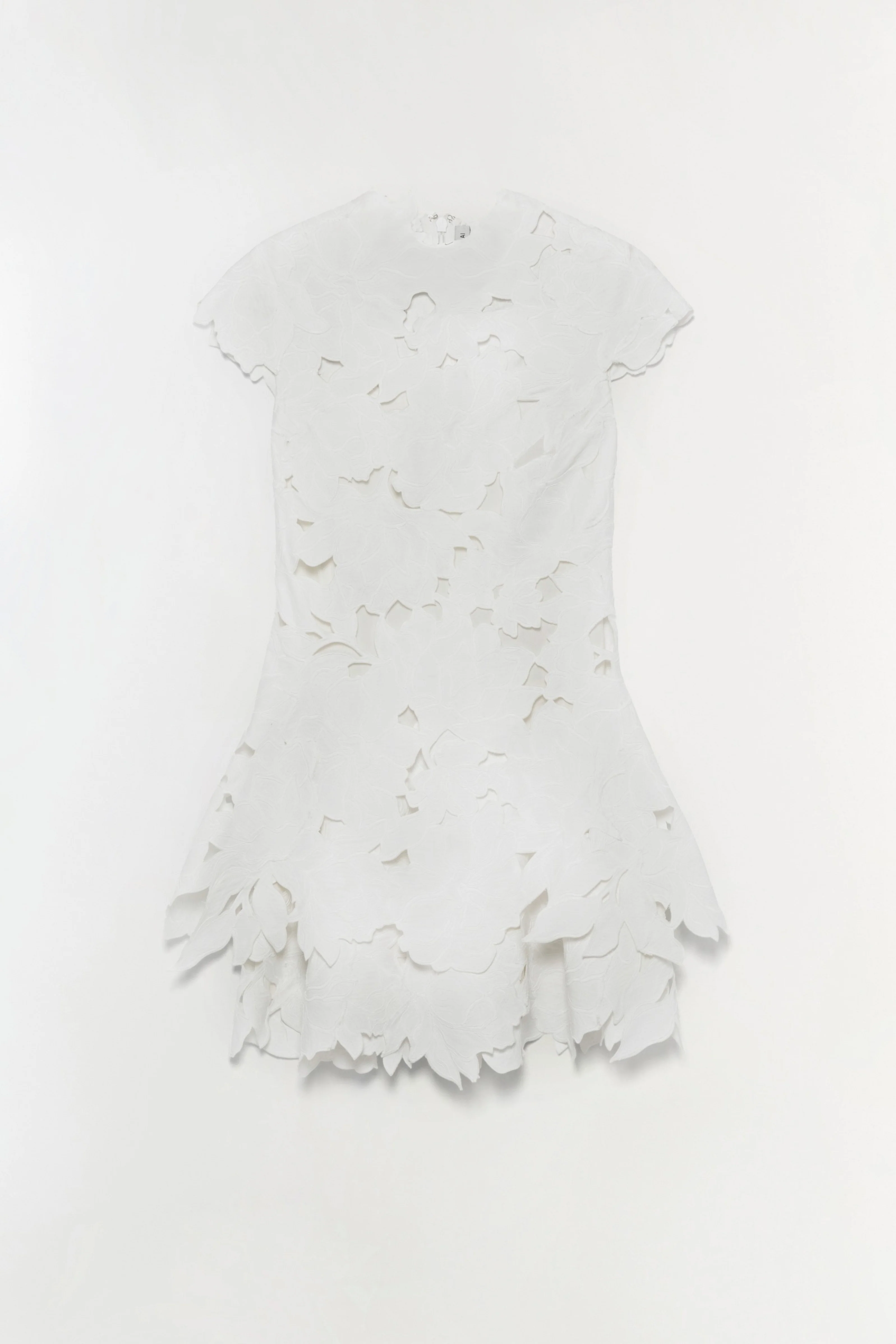 Holloway Embroidered Mini Dress