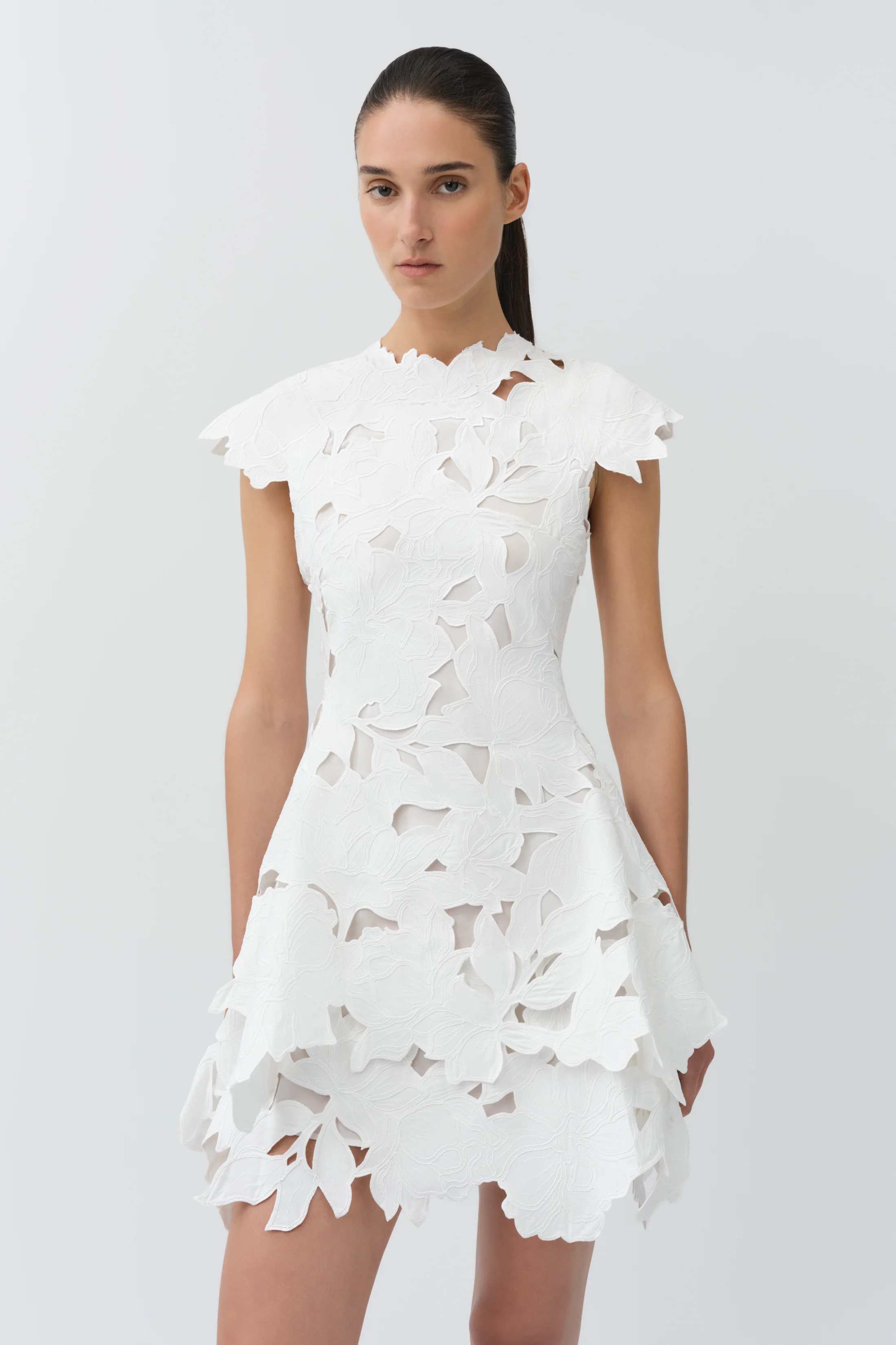 Holloway Embroidered Mini Dress - Image 3