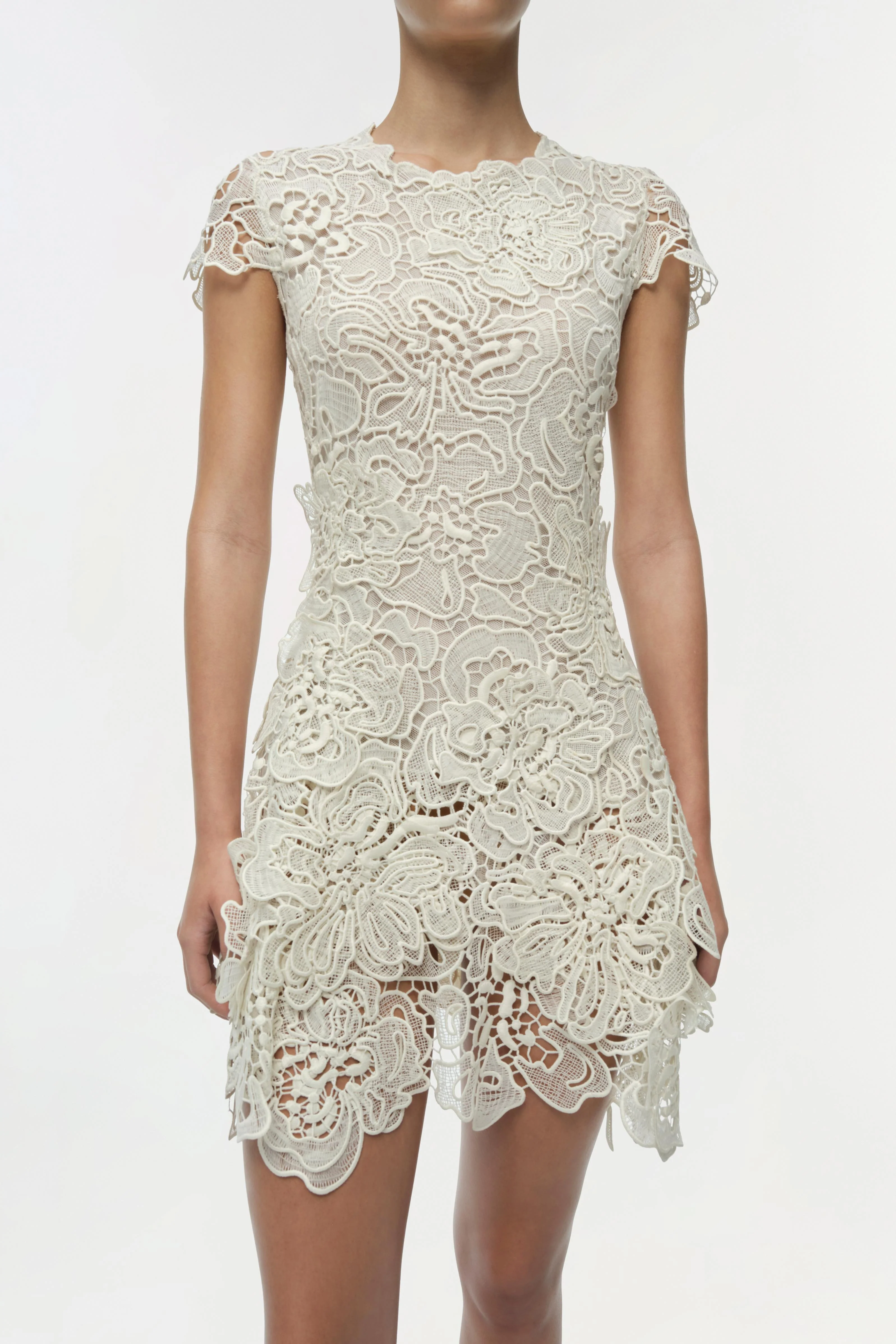 Novelle Lace Mini Dress - Image 4